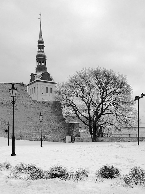 Tallinn Winter