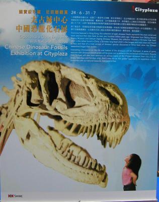 Chinese Dinosaur Fossils Exhibition