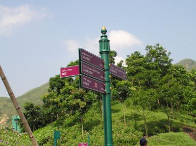 P9050116.JPG