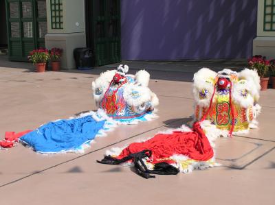 P9050156.JPG