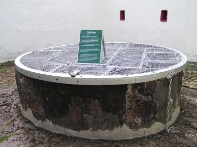 PA220505.JPG
