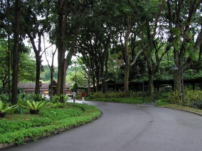 PA230869.JPG