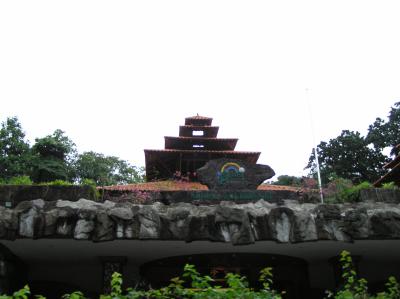 PA230871.JPG