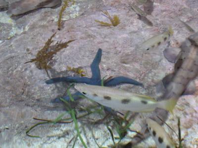 PA230885.JPG