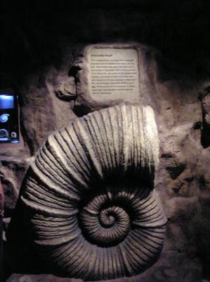 PA230892ER.JPG