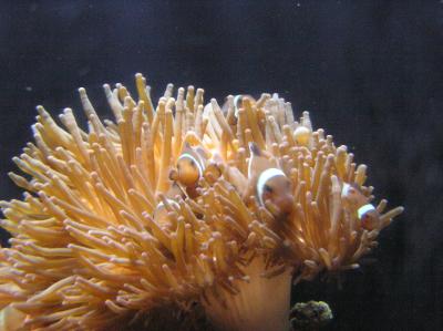 PA230928.JPG