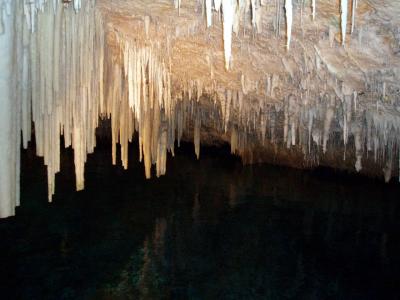 they look just like icicles