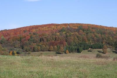 IMG_7216.JPG