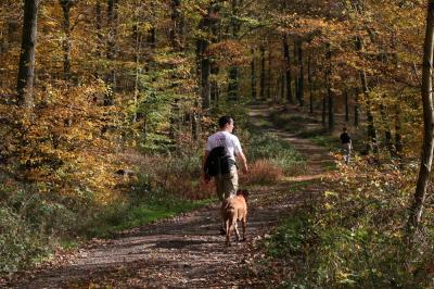 The_Hike.JPG