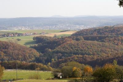 IMG_7444a.jpg