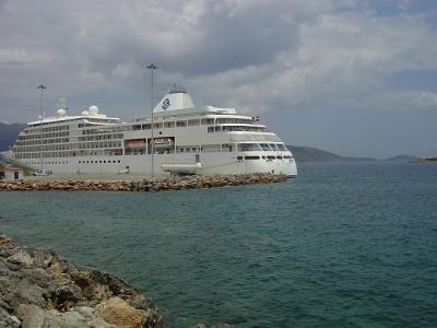 Silver Star from back