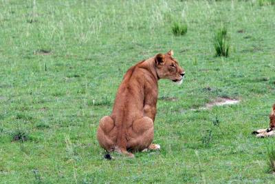 attentive female
