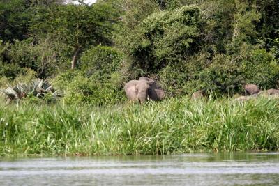 On the shores of the Nile