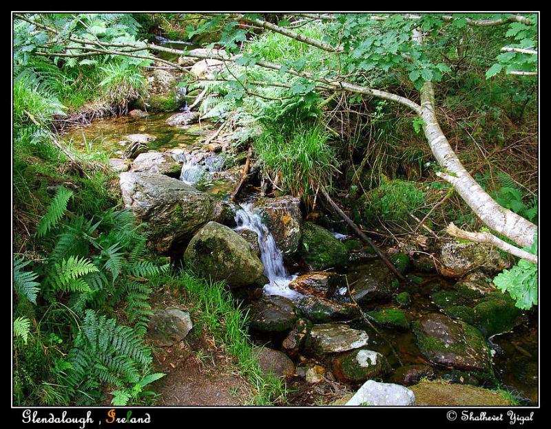 Glendalough 40