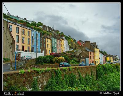 v3/44/464244/3/50358879.Cobh002bs4.jpg