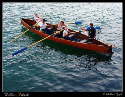 v3/44/464244/3/50381897.Wicklow03AS2.jpg