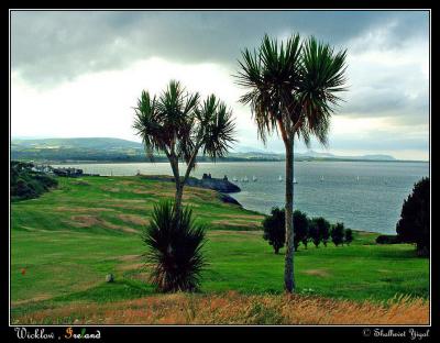 v3/44/464244/3/50381901.Wicklow13s2.jpg
