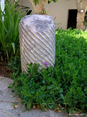 Marble column from nearby Salamis