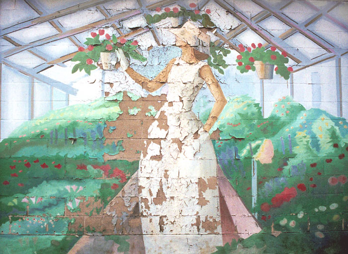 where have all the flowers gone