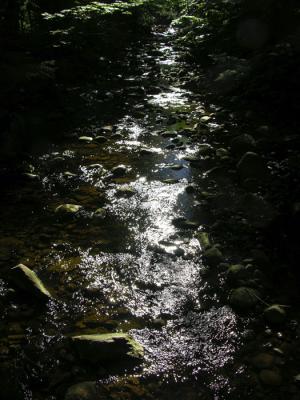 stream light