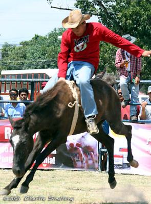 v3/44/560344/3/51401749.Rodeo_09.jpg