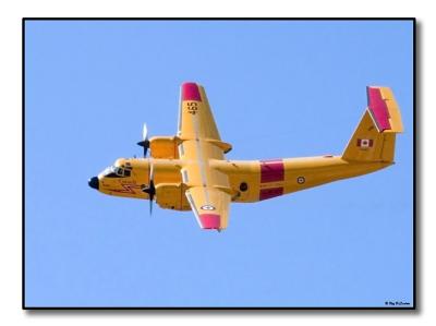 v3/44/565344/3/50391560.DehavillandBuffaloTopsidePass.jpg