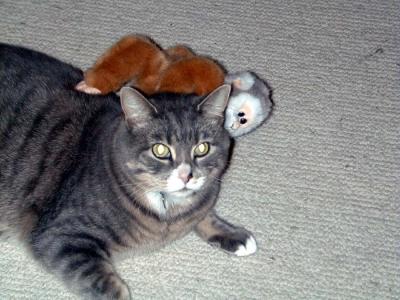 flip with monkey on his back.JPG