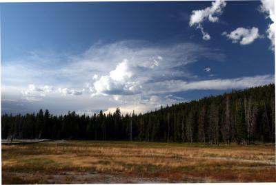 Late afternoon at Yellowstone
