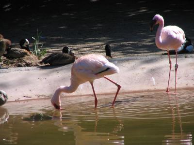 IMG_0828.JPG
