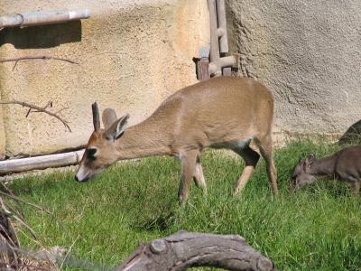 IMG_0843.JPG
