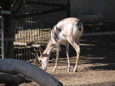IMG_0851.JPG