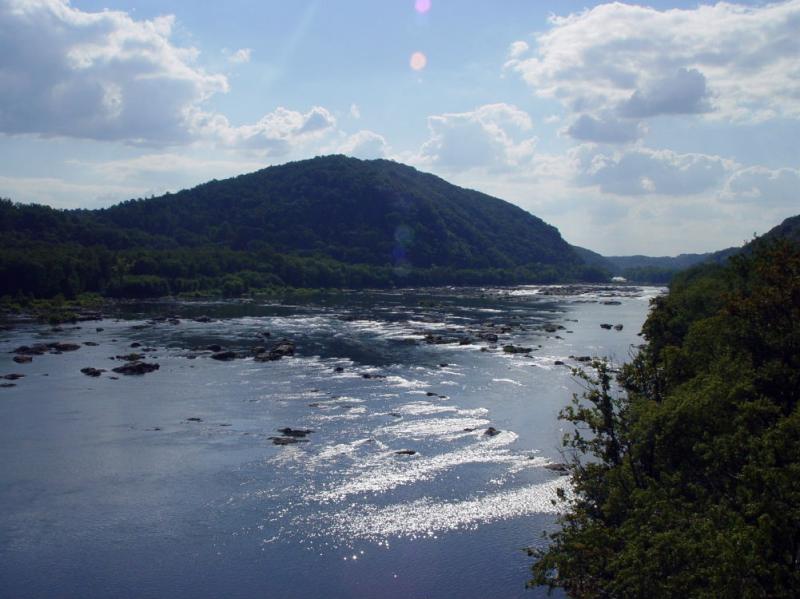 Cnv0059.jpg