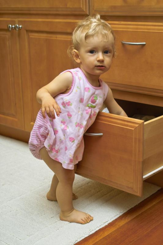 IMG03766.jpg