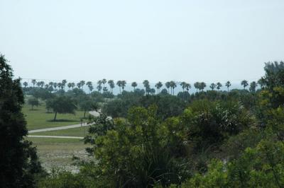 Fort DeSoto 032