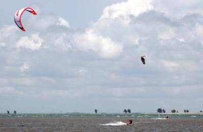 Kite Surfing 179