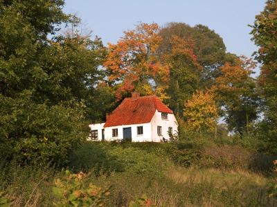 forest_house_hald.jpg