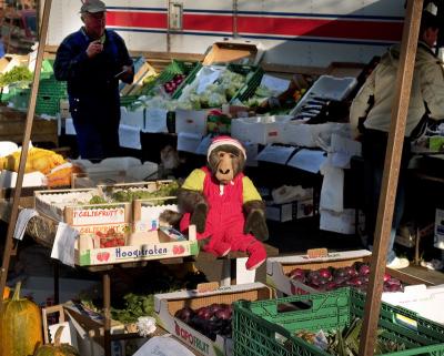 v3/45/324445/3/50986726.market_aalborg.jpg