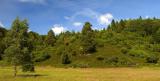 treepano_velvia.jpg