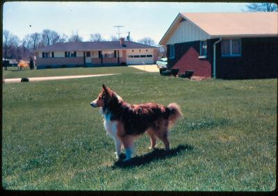 Shep McCarty 1969.jpg