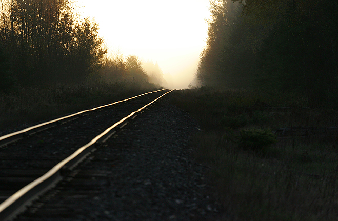 Morning tracks