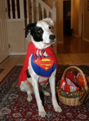 Happy Halloween!
