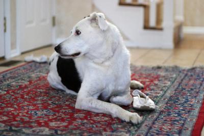 With mom's slipper