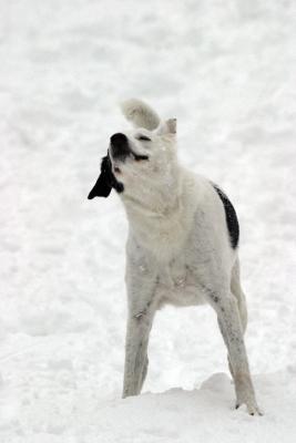 Snow play