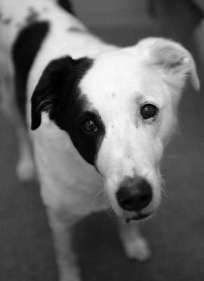 In black and white....what other color is there?