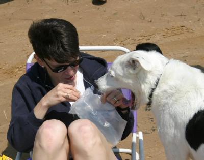Beach snacks