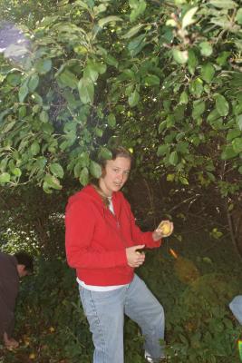 Abee Is this a good apple? Boyles