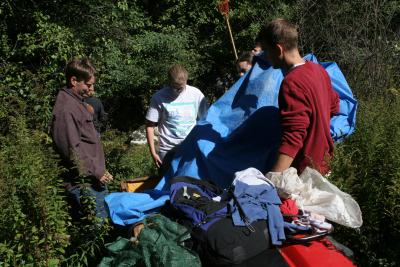 collecting apples in the tarp