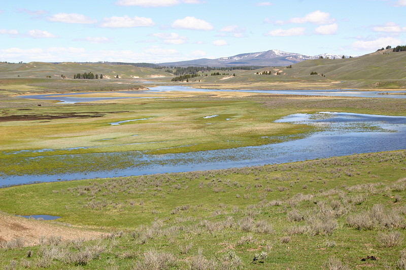 Hayden Valley