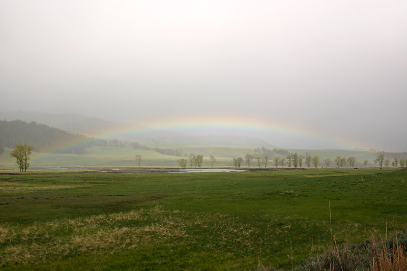Lamar Valley