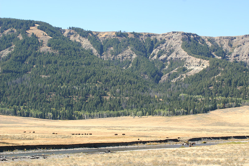 Lamar Valley